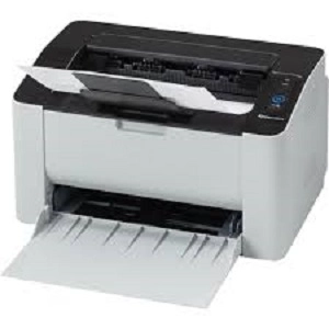 printer 2029w